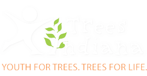 Trees Indiana