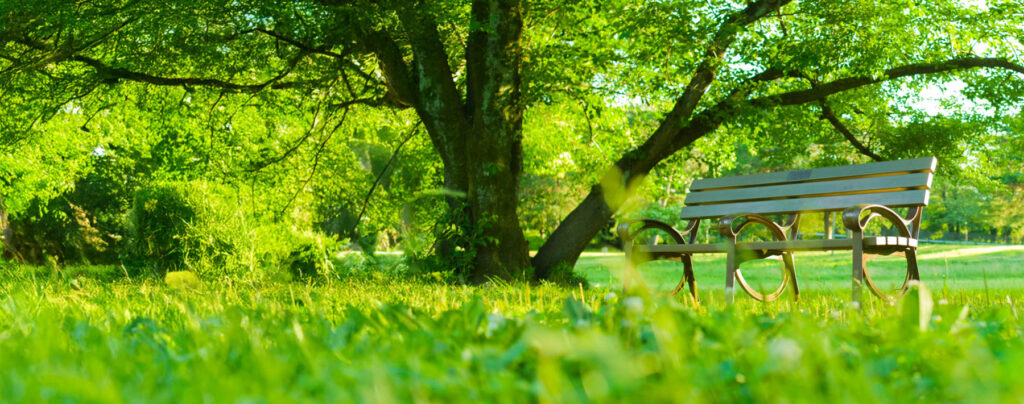 A bench in a lunch green park in Fort Wayne.