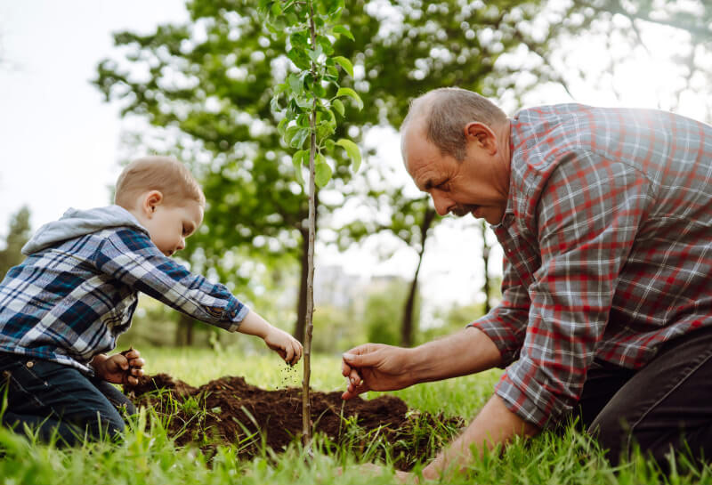 A grandfather and son plant a tree in Fort Wayne, Indiana.